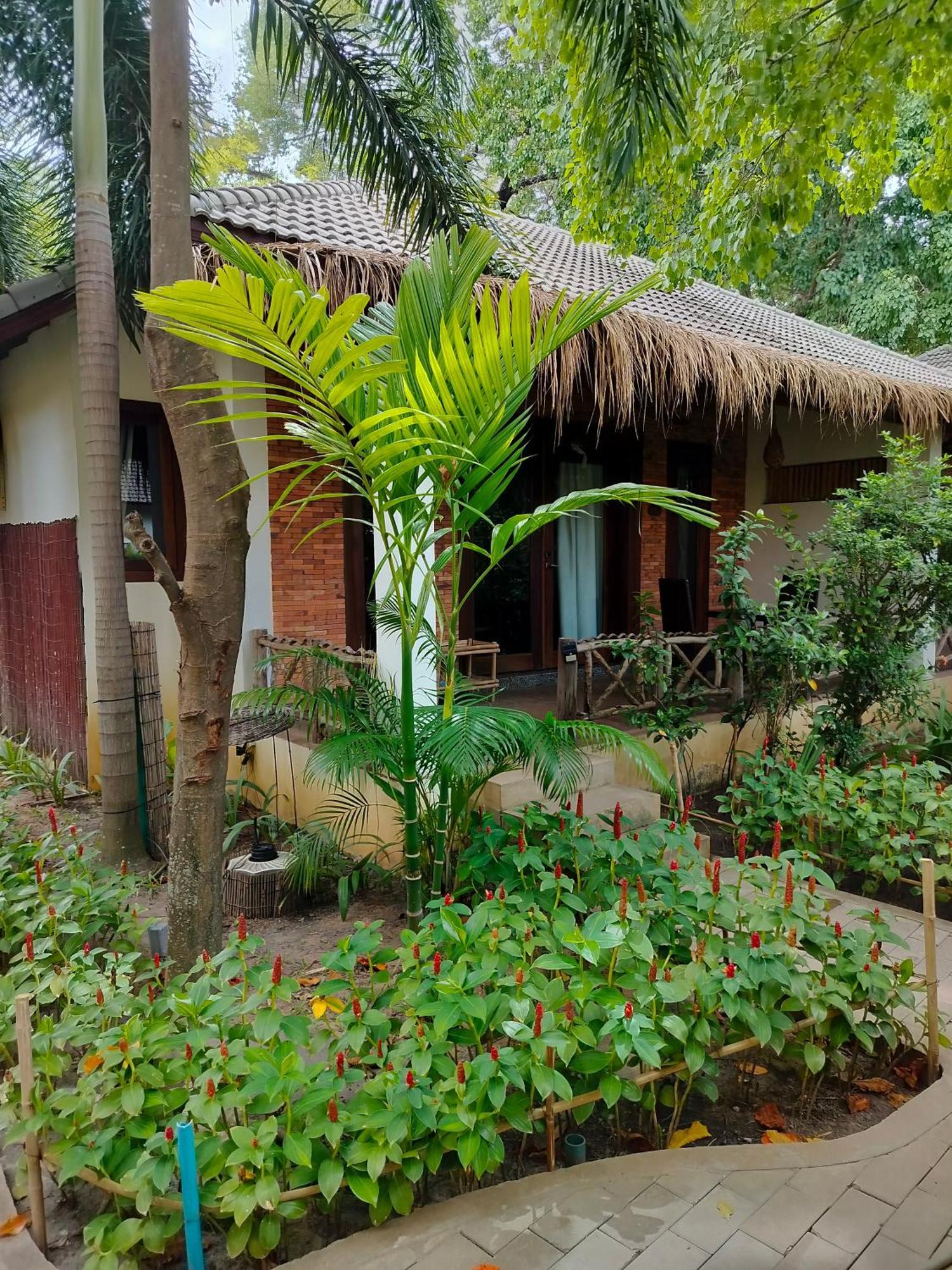 La Riviere D' Angkor Resort Siem Reap Eksteriør bilde