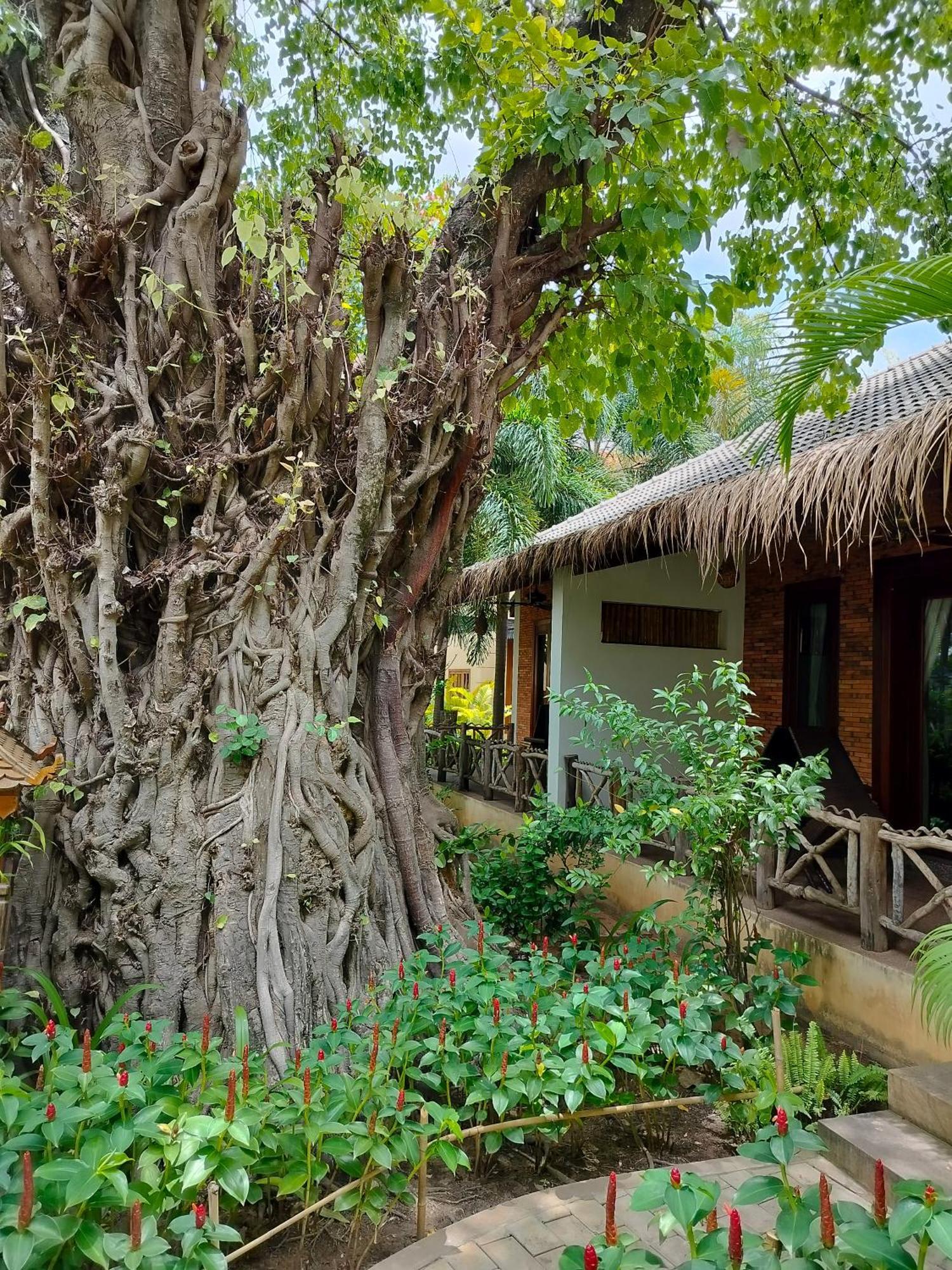 La Riviere D' Angkor Resort Siem Reap Eksteriør bilde